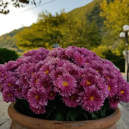 Pensjonat ρόδον Káto Loutrákion